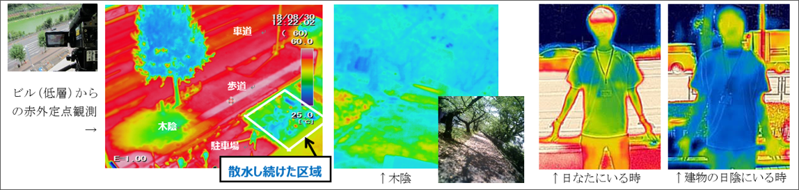 æ³æ¿å¤§å±åç ç©¶_å¤æ¿ è¦³æ¸¬02.png