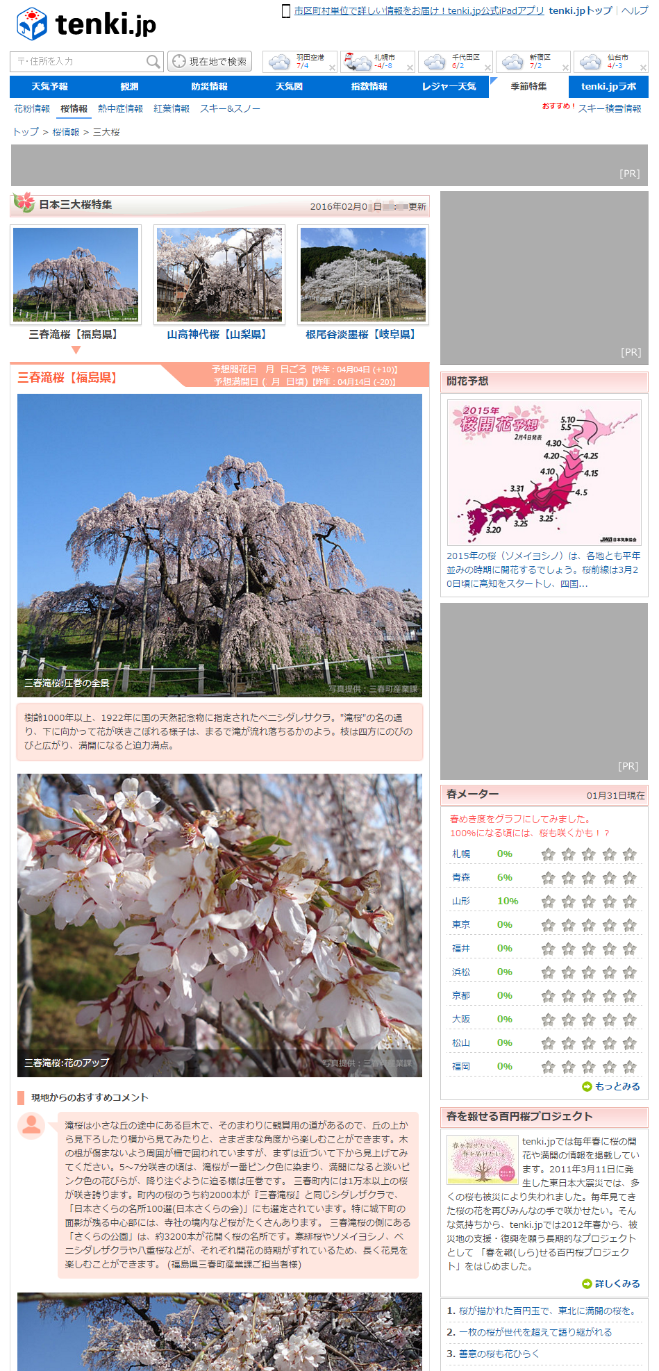 PC_三大桜_sakuraバラ.png