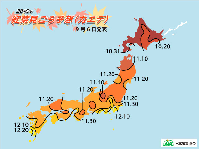 日本気象協会 日本全国51都市の 紅葉見ごろ予想 を発表 近畿地方は平年よりも早く紅葉の見ごろを迎えそうです Jwaニュース 日本気象協会