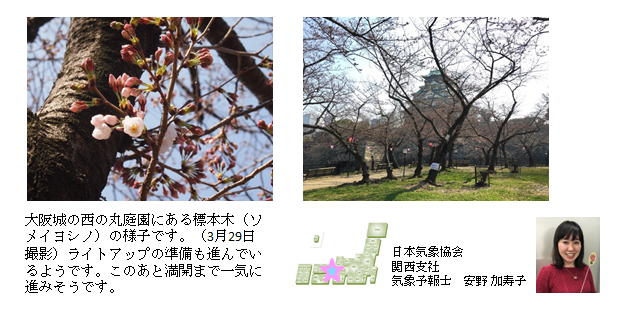 桜開花予想のたより（関西）