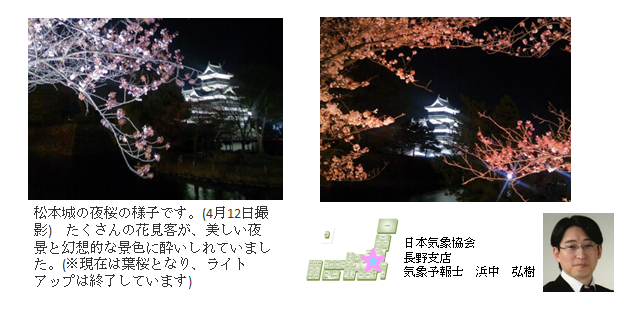 桜開花予想のたより(長野)