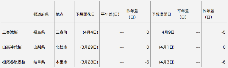 日本三大桜 開花予想
