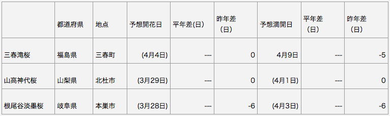 日本三大桜　開花予想