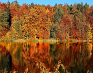 October Autumn Foliage Forecast 2022<br>Mostly Same as Usual Years for Best Time to See Autumn Leaves
