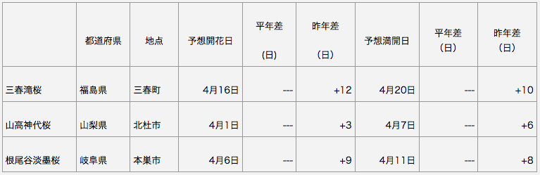 日本三大桜 開花予想