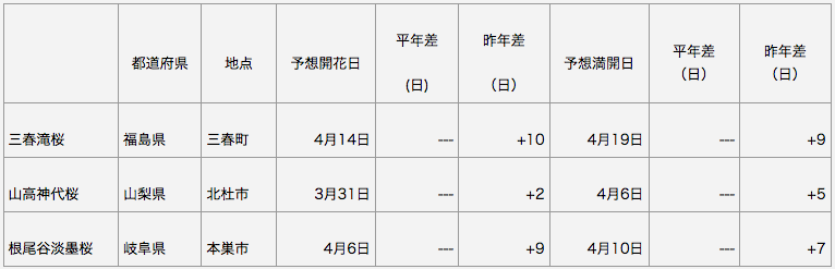 日本三大桜 開花予想