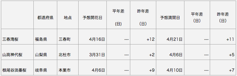 日本三大桜　開花予想