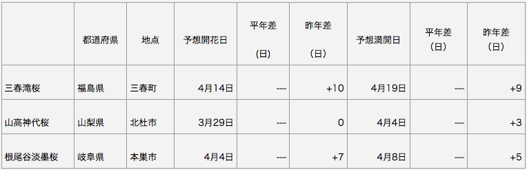 日本三大桜　開花予想