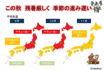 9月~11 月の気温の予想(データ元:気象庁・8 月 23 日発表)