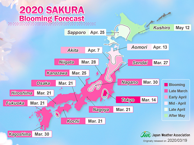 2020 SAKURA Blooming Forecast