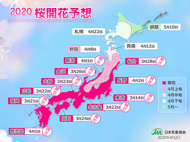 2020年開花予想前線図（第7回）