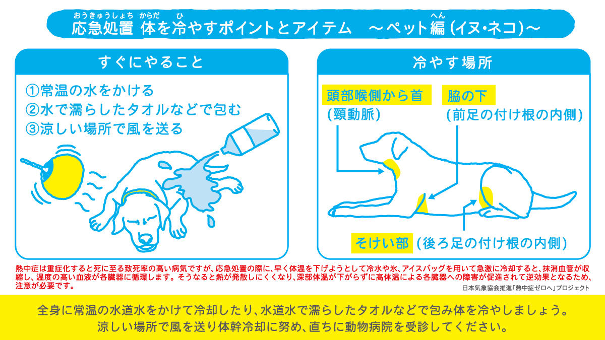 2008_ペットの熱中症対策_3