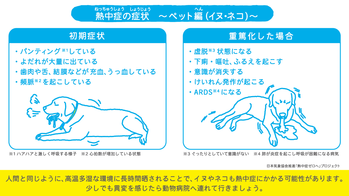 2008_ペットの熱中症対策_1