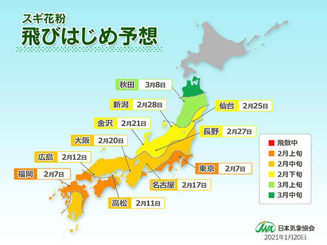 日本気象協会 21年 春の花粉飛散予測 第3報 花粉飛散は2月上旬からスタート 3月は各地でスギ花粉がピークに Jwaニュース 日本気象協会