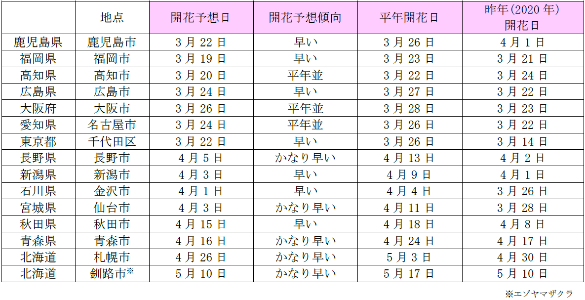 桜 開花 2021