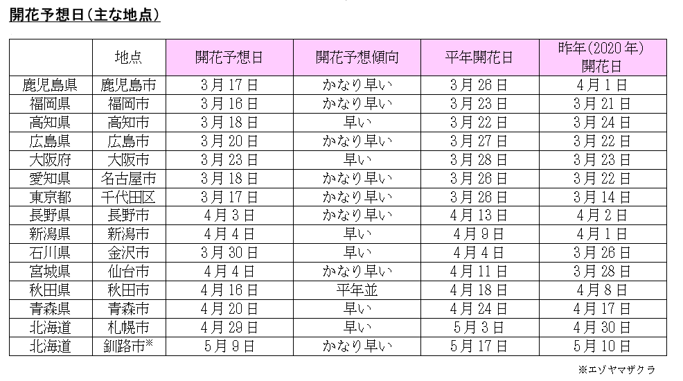 桜 開花 予想