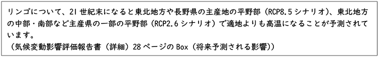 リンゴについて