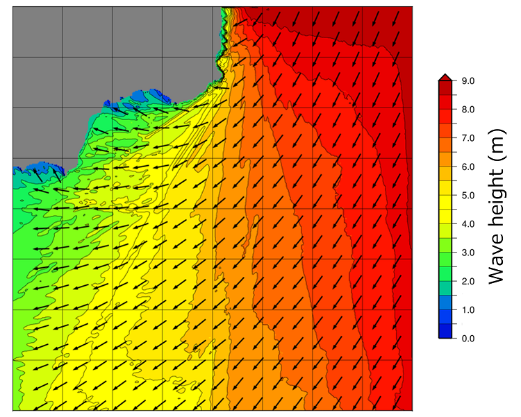 Wave height distribution by numerical model