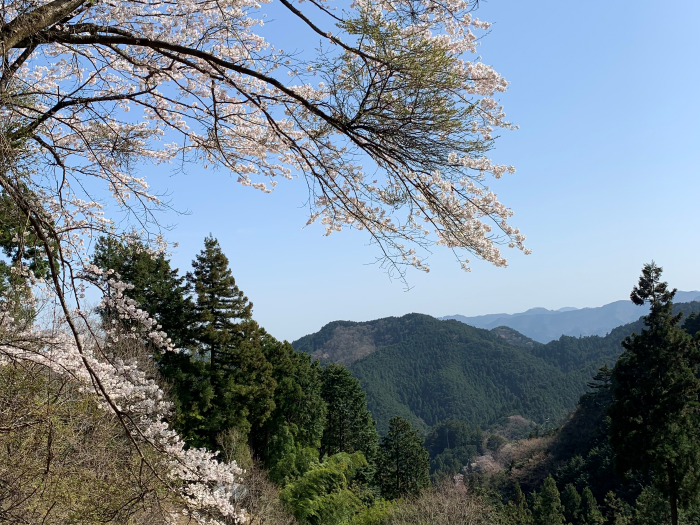 埼玉県飯能市(4月10日撮影)