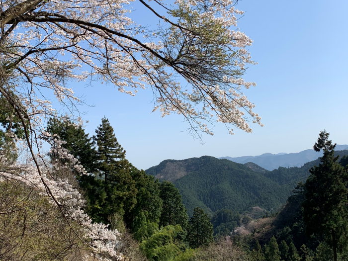 埼玉県飯能市（4月10日撮影）