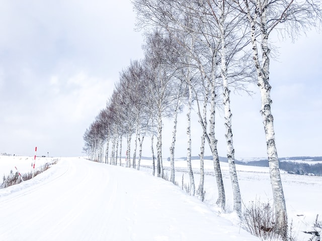天気予報専門メディア「tenki.jp」 Webサイトで「積雪マップ」を提供開始 ～年末年始の安全な移動や、大雪への備えに役立つ　降雪・積雪状況を地図上で確認可能に～