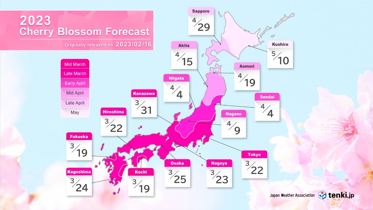 2023 Cherry Blossom Forecast (Part 1) Cherry blossoms to bloom first