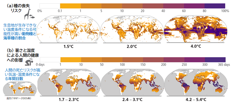 （図1）地球温暖化水準（各マップ下部に示された温度）別の（a）種の喪失リスクと（b）暑さと湿度による人間の死亡リスクの分布図。どちらも現状に追加する適応がない場合の影響予測を示している。 出典： IPCC AR6 SYR 図SPM.3 (a)(b)