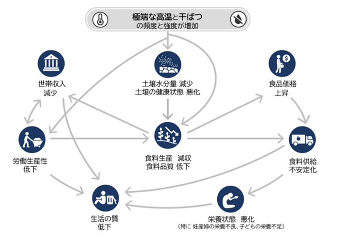 （図3）極端な高温と干ばつが零細農家にもたらす連鎖的リスクの例。 出典：IPCC AR6 SYR Longer Report 図4.3 (c)