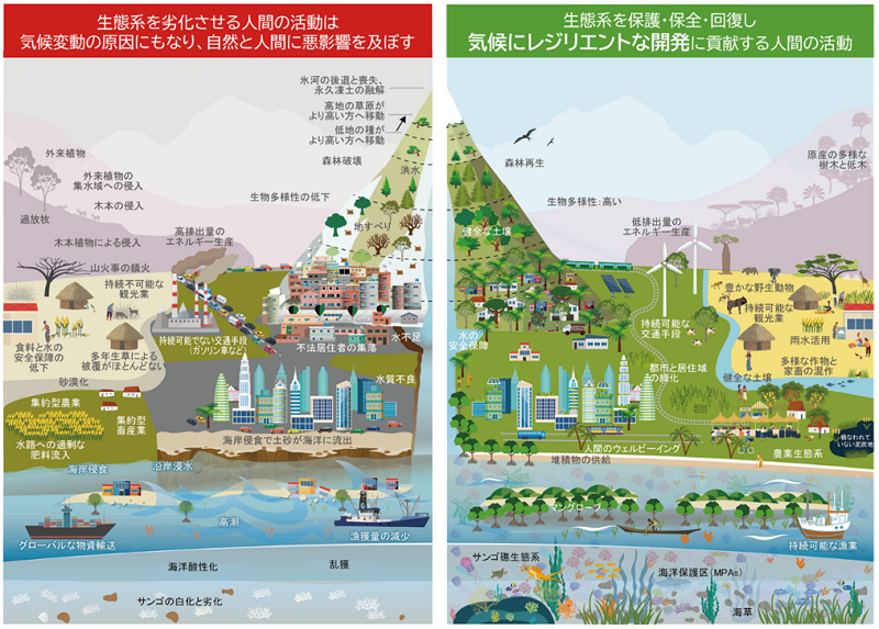 （図3）健全な生態系が気候にレジリエントな開発の成功を左右する 出典：IPCC AR6 WGII 図TS.12を改変