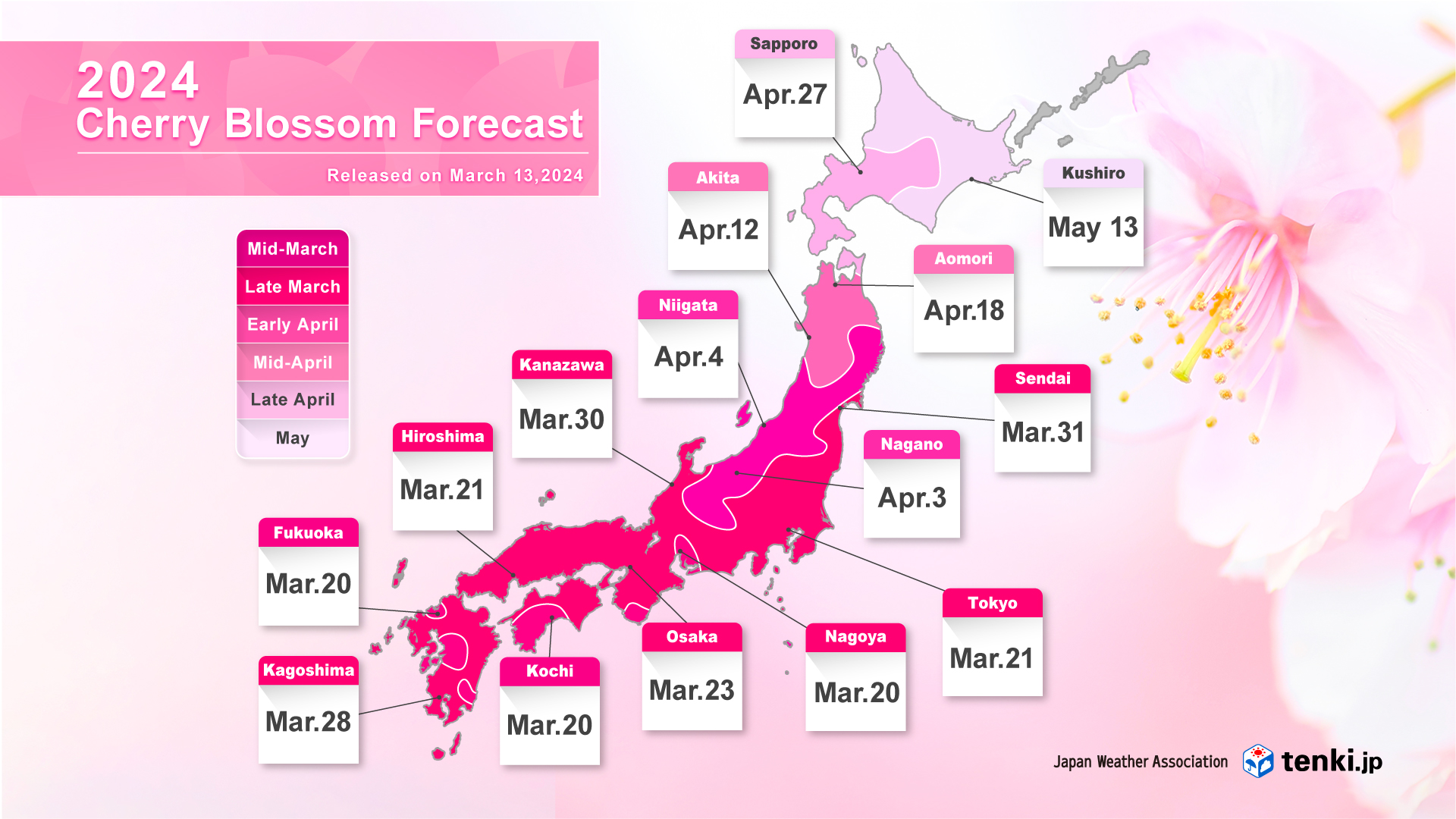 Cherry blossom forecast map 
