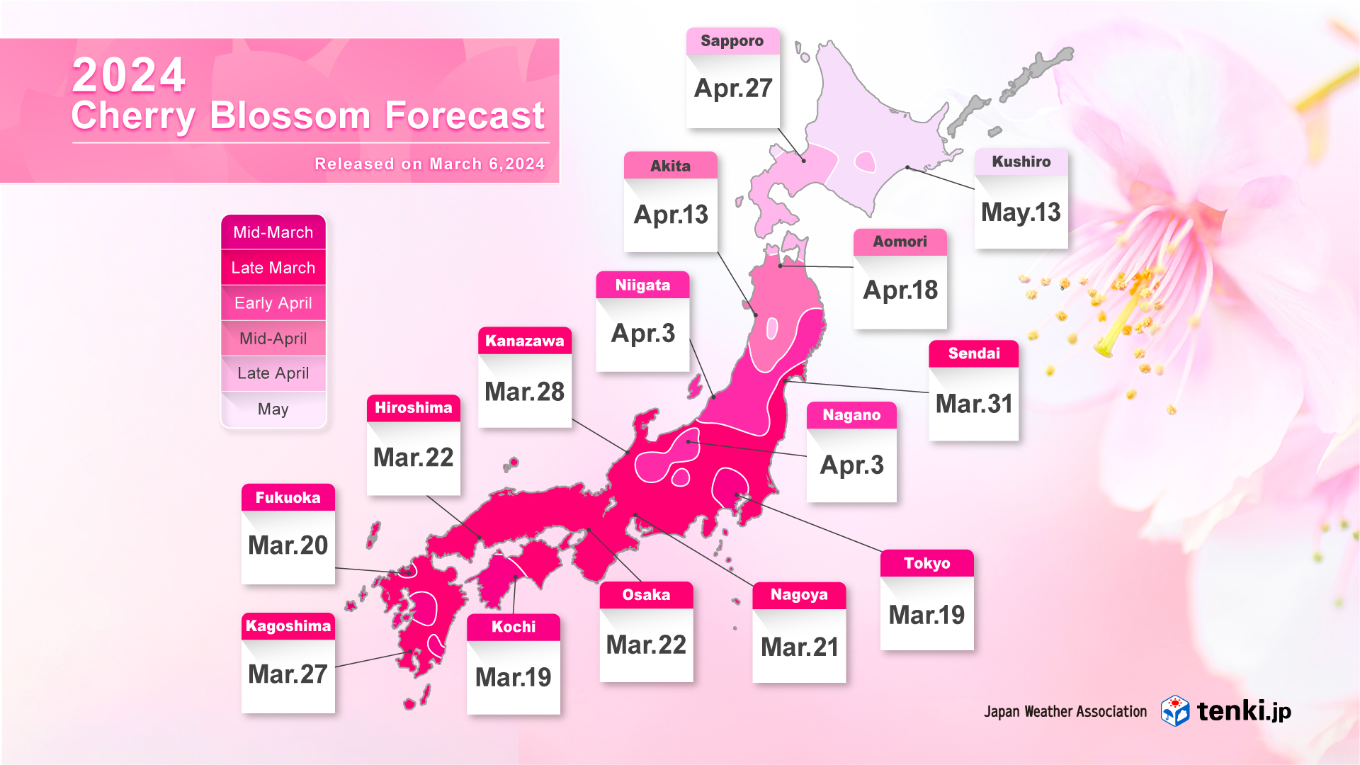 Cherry blossom forecast map