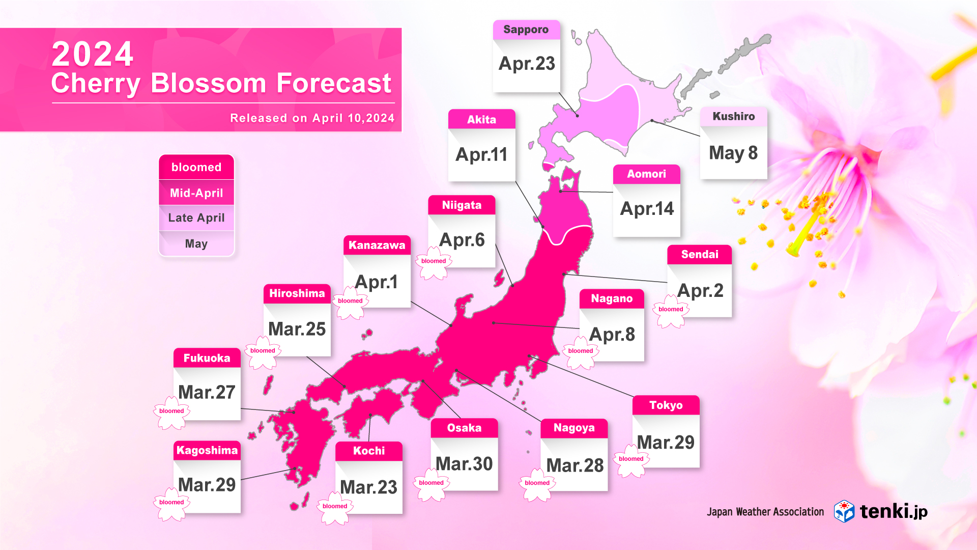 Cherry Blossom Forecast Map 