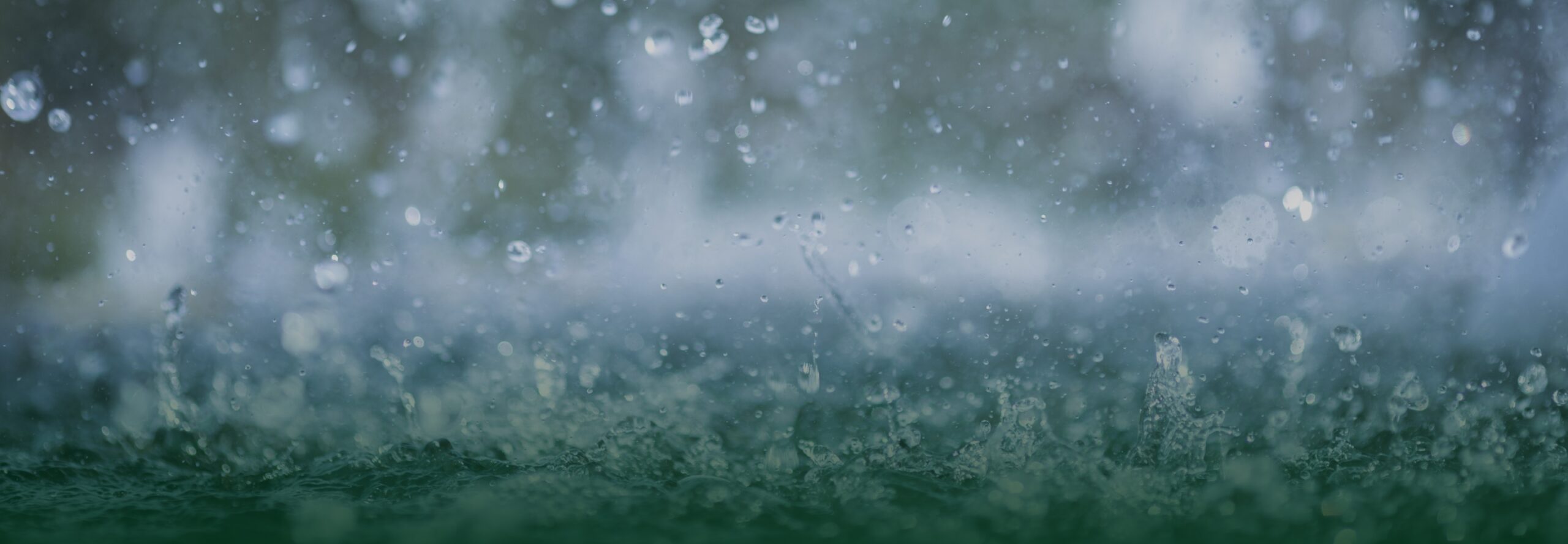 Disaster Mitigation・Crisis Management・Climate Change Measurements