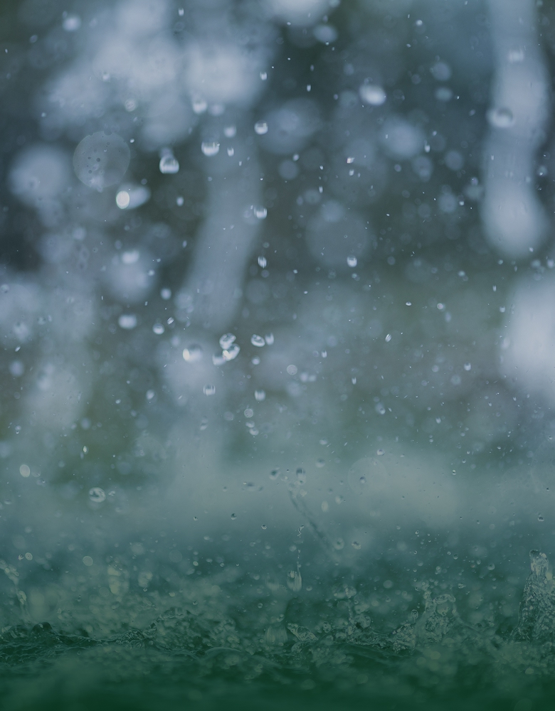 防災・危機管理・気候変動対策