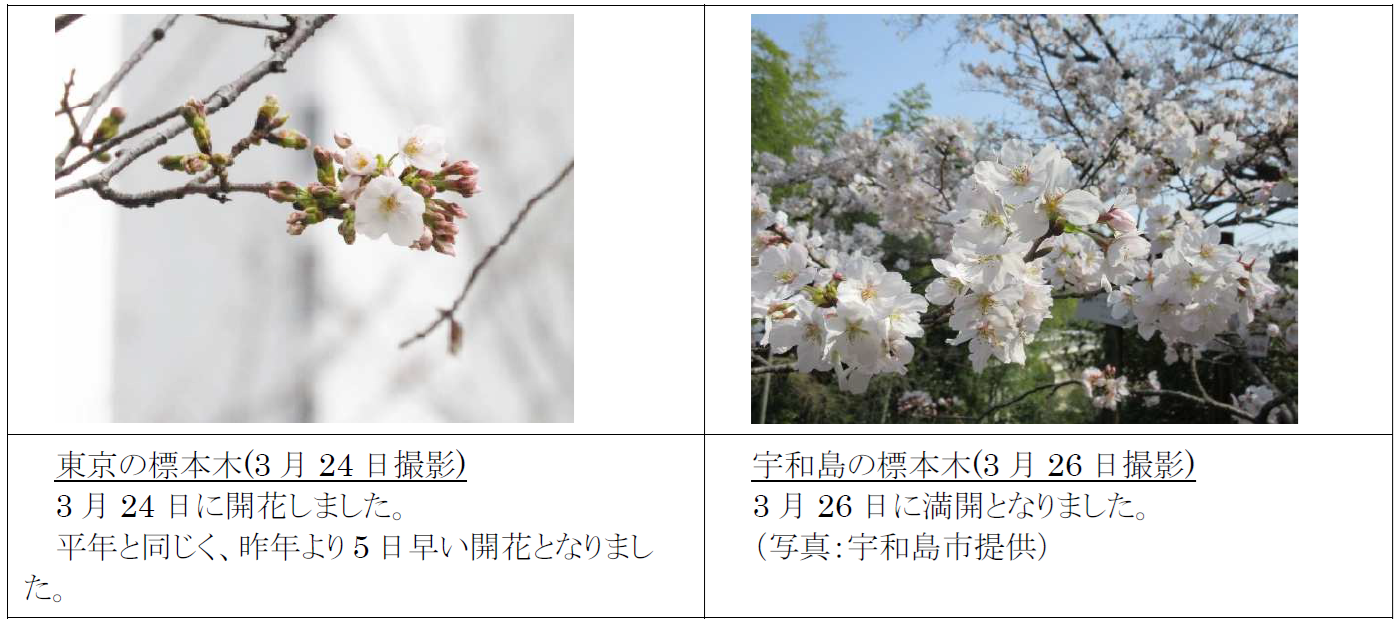 地域の写真