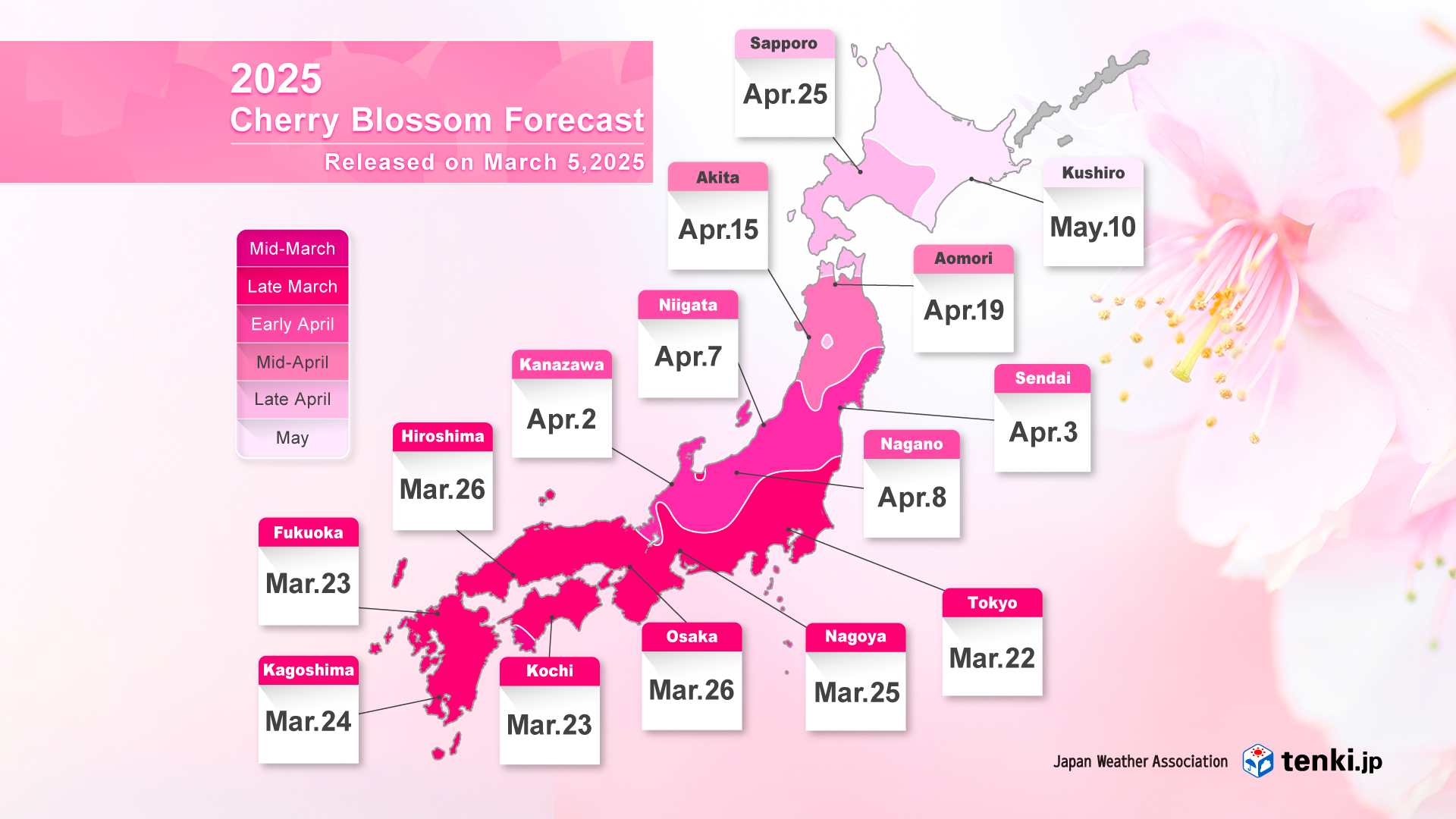 Cherry Blossom Forecast Map