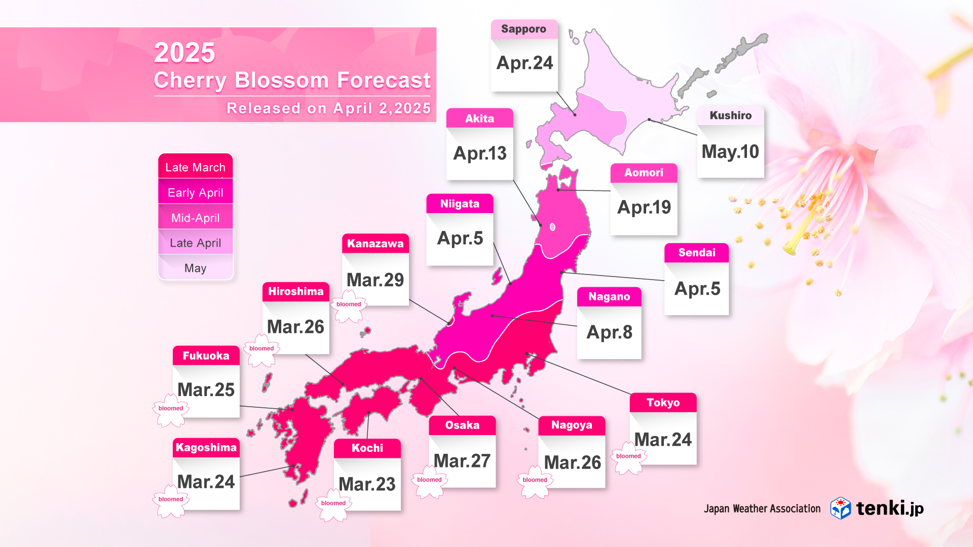 Cherry Blossom Forecast Map