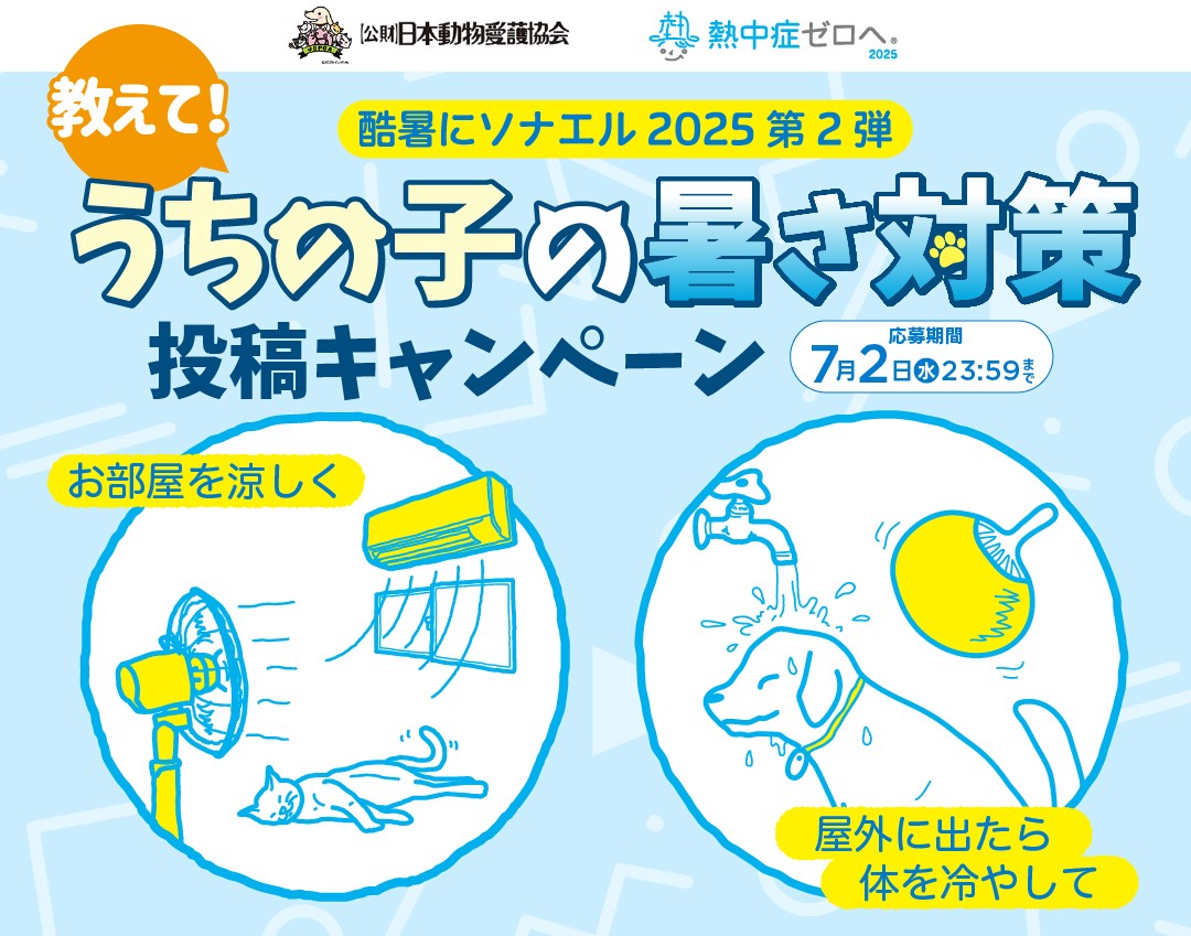 キャンペーンイメージ