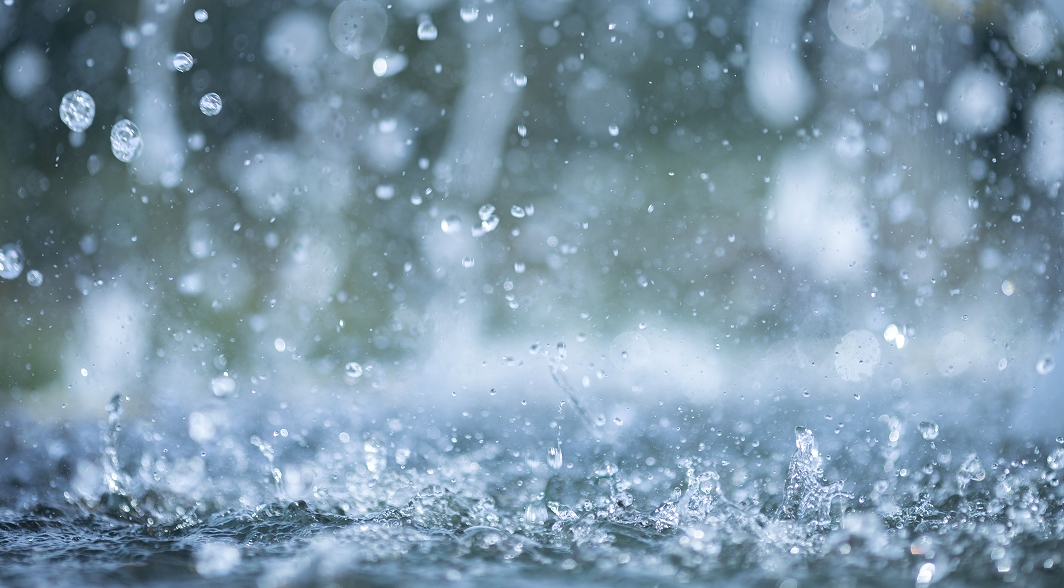 Disaster Mitigation・Crisis Management・Climate Change Measurements