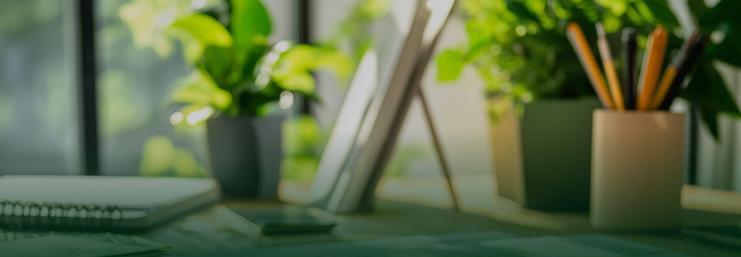 Environmental Impact Assessments