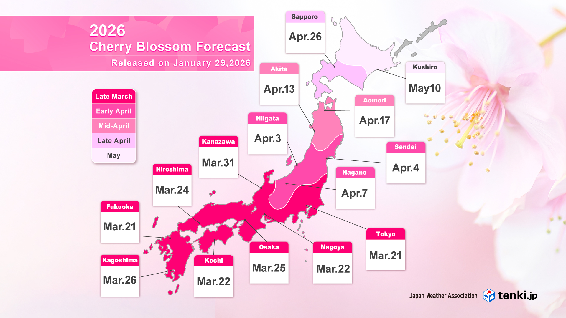 Cherry Blossom Forecast Map