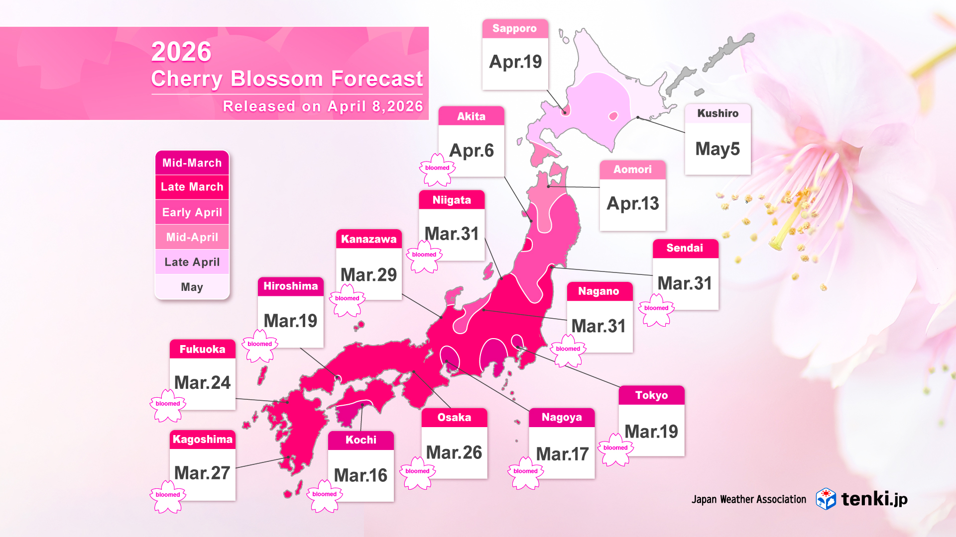 Cherry Blossom Forecast Map